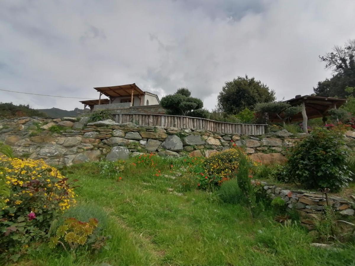 Logement De Charme Avec Piscine Privative Pino Exterior photo